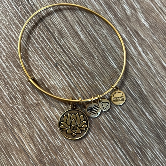 Alex and Ani Bracelets - Picture 3 of 4